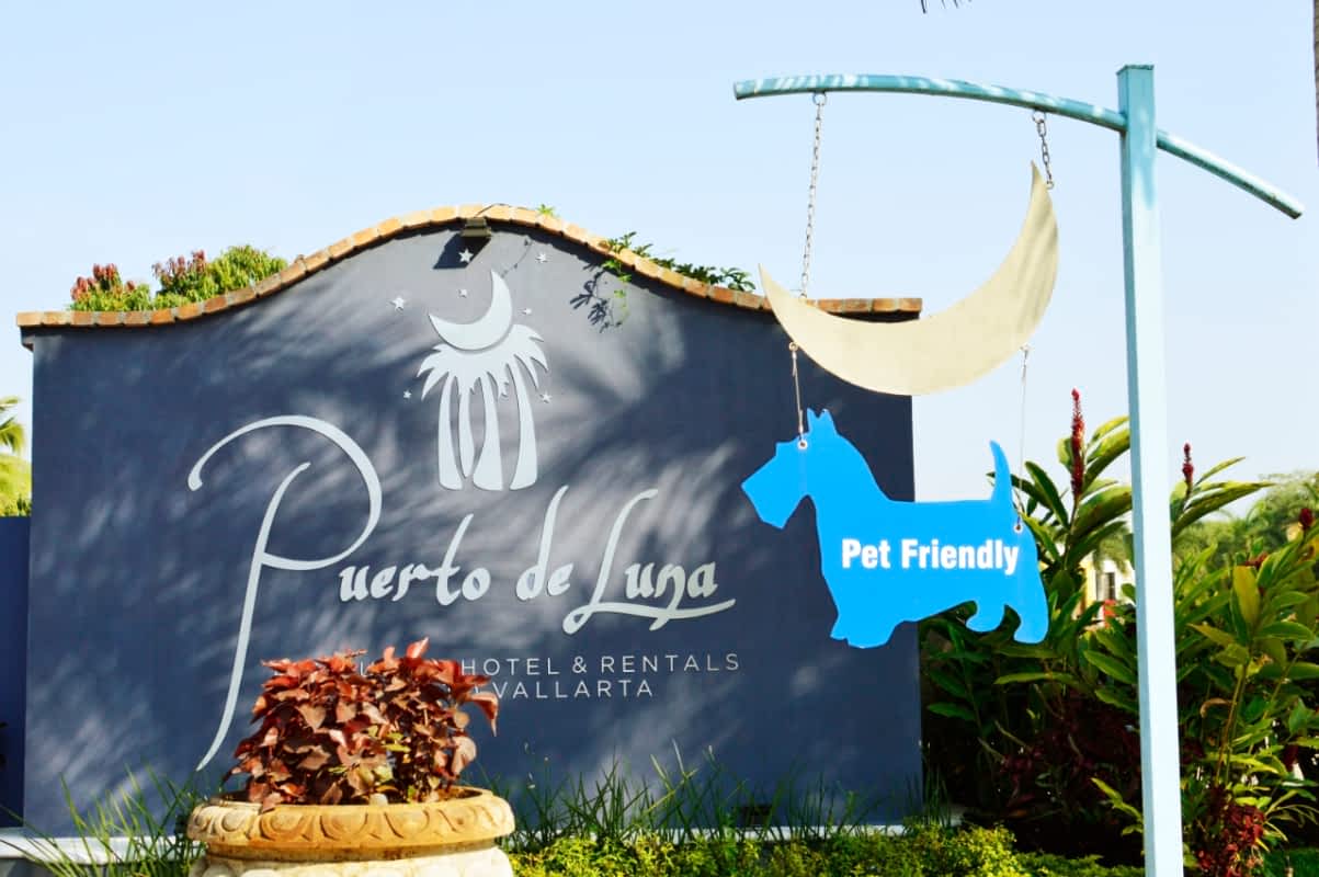 Puerto de Luna Pet Friendly Puerto Vallarta Puerto de Luna Pet Friendly Puerto Vallarta